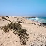 Aripauso Costa De Antigua